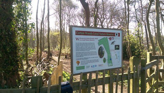 Corton Woods Local Nature Reserve